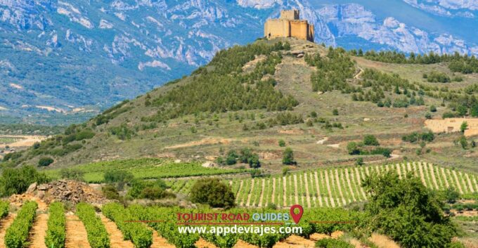 From Madrid: Don Quixote Route Tour Wines Mills & Farmhouses - Quixotic Town Experiences