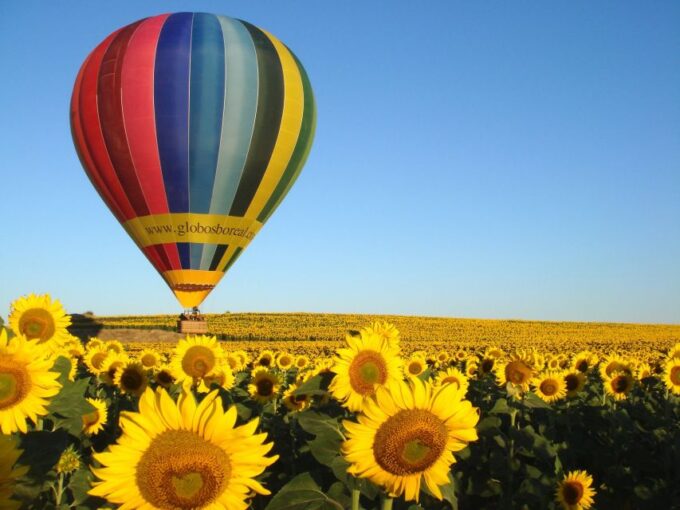 From Madrid: Hot Air Balloon Ride in Segovia With Pickup - Whats Included