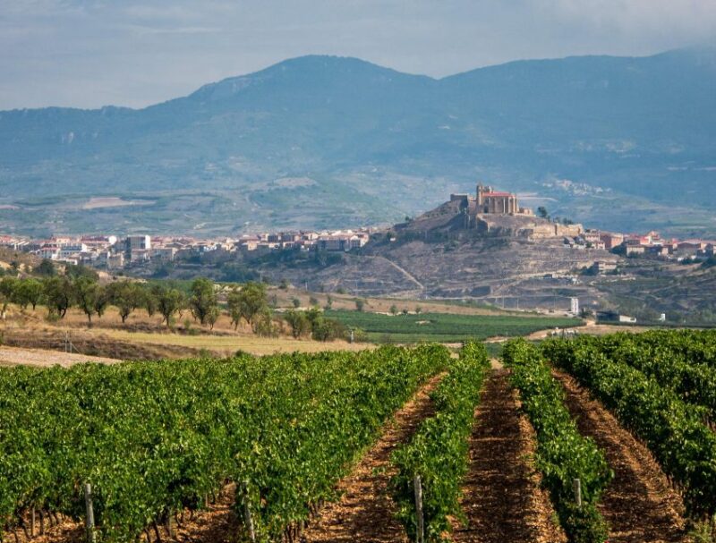 From Madrid: La Rioja & the Basque Country 4 Day Tour - Not Included in the Tour