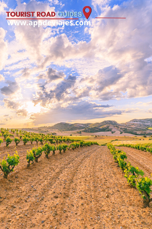 From Madrid: Peñafiel Castle, Ribera Del Duero Tour & Wine - Transportation and Itinerary