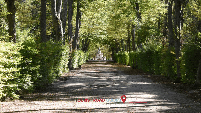From Madrid: San Ildefonso Farm, Lunch and Segovia Tour - Key Points