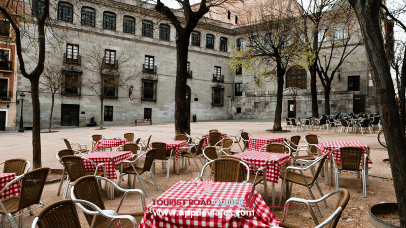 From Madrid: Tapas Route & Centuries-Old Establishments - Gastronomic Experience