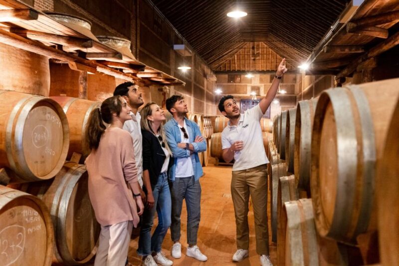 From Madrid: Toledo City Tour and Wine Tasting Experience - UNESCO World Heritage Site