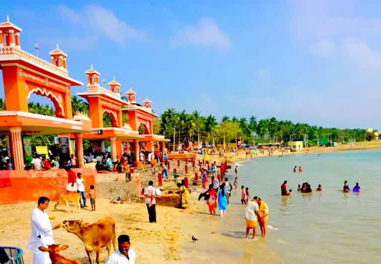 From Madurai : Private Day Trip to Rameshwaram by Car - Transportation Details