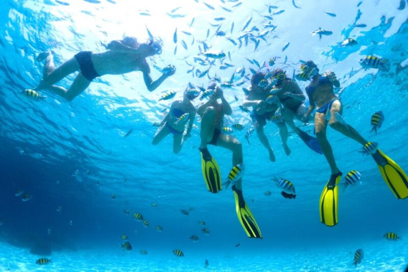 From Makadi Bay: Diving & Snorkeling Boat Tour With Lunch - Key Points