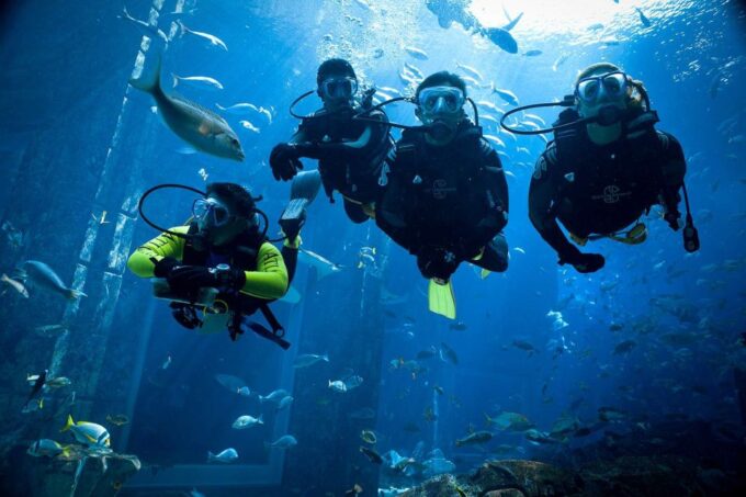 From Makadi Bay: Diving & Snorkeling Boat Tour With Lunch - Frequently Asked Questions