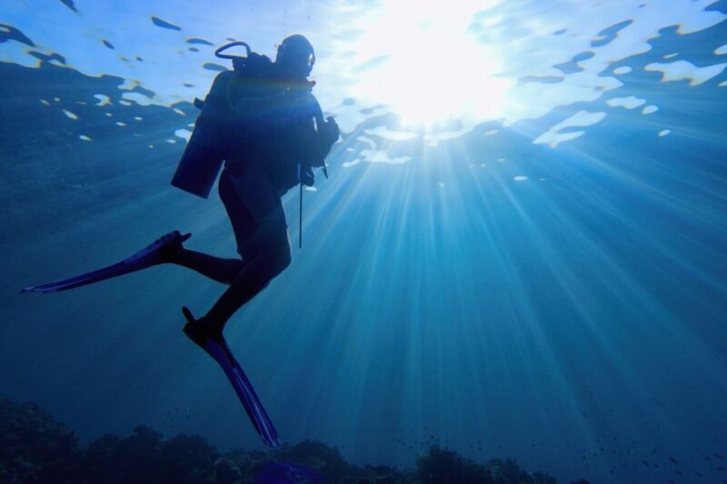 From Makadi Bay: Diving & Snorkeling Boat Tour With Lunch - Itinerary and Activities