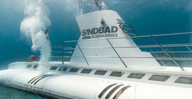From Makadi Bay: Sindbad Submarine Tour With Round Transfers - Experience Highlights