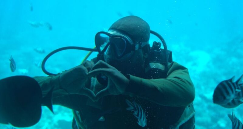 From Makadi Bay: Sindbad Submarine Tour With Round Transfers - Inclusions
