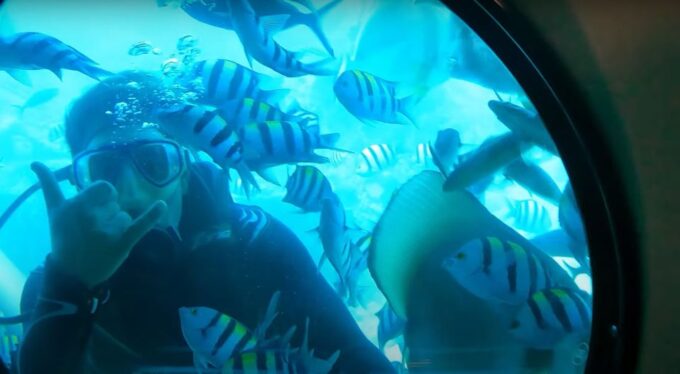 From Makadi Bay: Sindbad Submarine Tour With Round Transfers - Transportation Arrangements