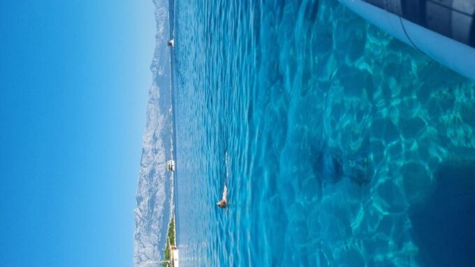 From Makarska: Golden Horn, Bol Speedboat Tour With Swimming - Discovering Bol on Brač Island