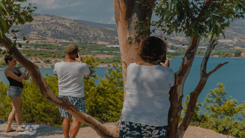 From Makry Gialos: Cretan Villages and Olive Oil Farm Tour - Itinerary and Activities