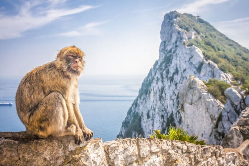 From Malaga and Costa Del Sol: Gibraltar Shopping Tour - Frequently Asked Questions