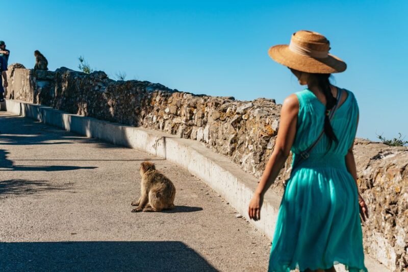 From Malaga and Costa Del Sol: Gibraltar Tour - Itinerary