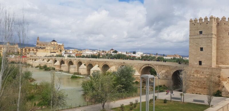 From Malaga: Cordoba Day Trip and Mosque-Cathedral - Free Time in Cordoba