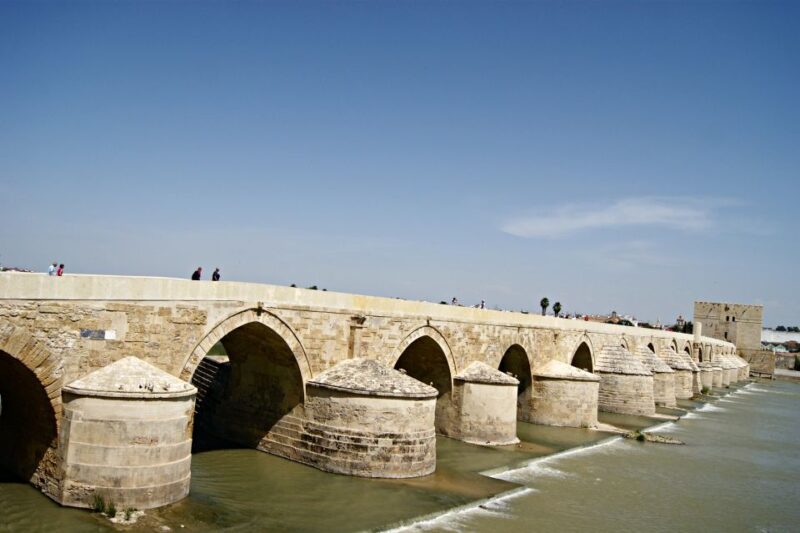 From Málaga: Córdoba Mosque Cathedral Guided Tour - Tour Inclusions and Flexibility