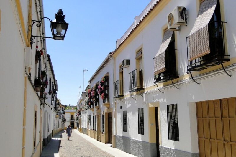 From Malaga: Córdoba Private Day Trip and The Mosque - Tour the Great Mosque of Cordoba