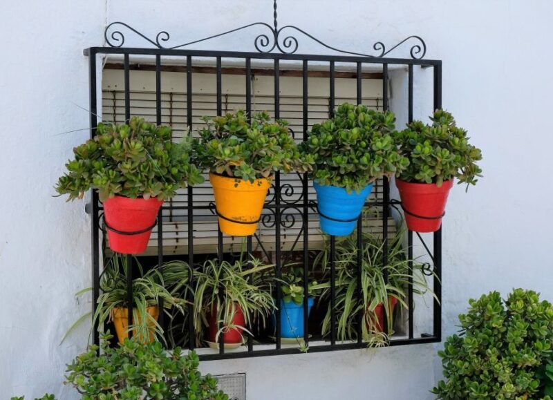 From Malaga/Costa Del Sol: Trip to Nerja & Frigiliana - Exploring the Charming Nerja