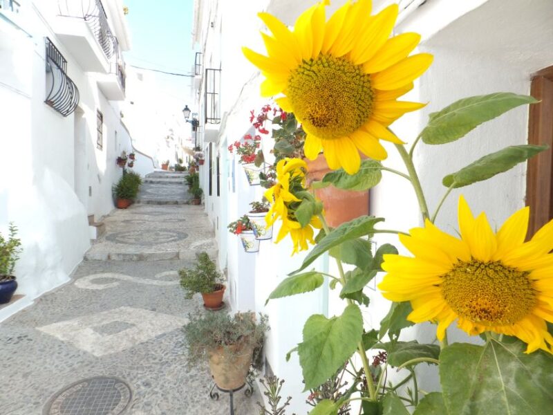 From Malaga: Frigiliana Hiking Tour With Wine & Appetizers - Key Points