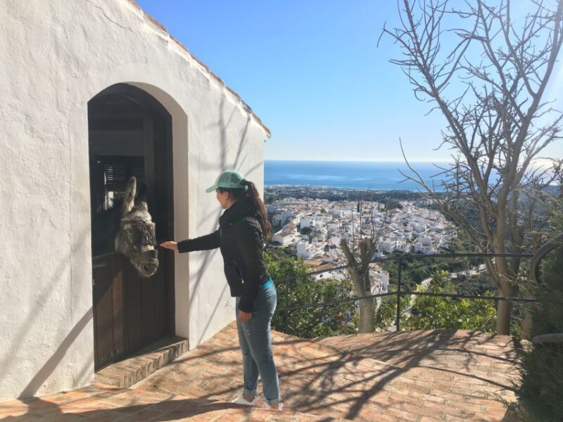 From Malaga: Frigiliana Hiking Tour With Wine & Appetizers - Avocado Plantations and Natural Park