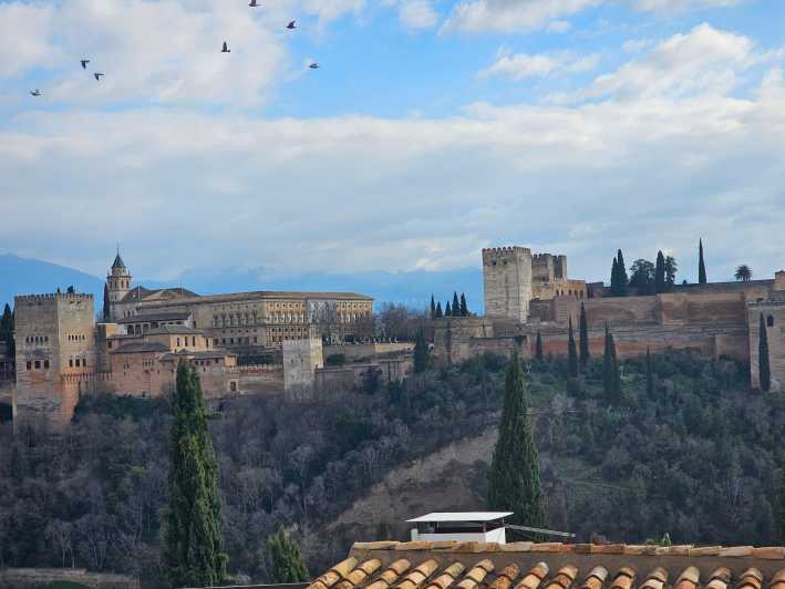 From Málaga: Granada and Alhambra Surroundings Day Trip - Key Points