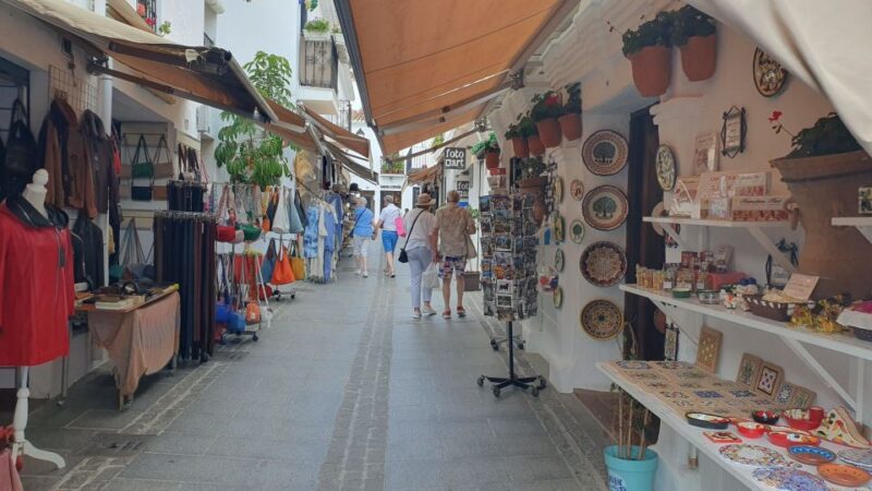 From Málaga: Guided Tour of Marbella, Mijas, and Puerto Banús - Key Points