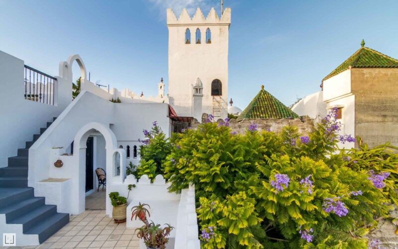From Malaga or Tarifa: Private Tangier Day Tour - Highlights of the Tour