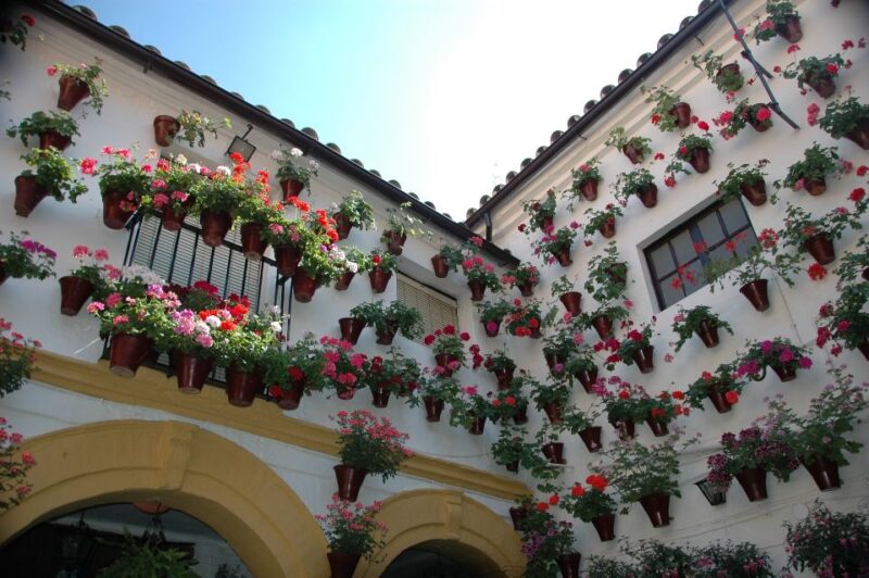 From Malaga: Private Guided Walking Tour of Cordoba - Exploring Cordobas History