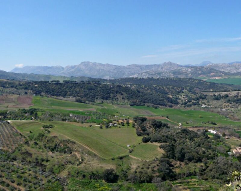 From Malaga: Private Malaga Airport Transfer to Ronda - Luxury Vehicle Comfort