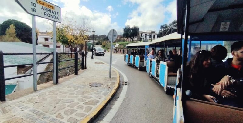 From Malaga: Ronda and Setenil De Las Bodegas Complete Tour - Itinerary Details