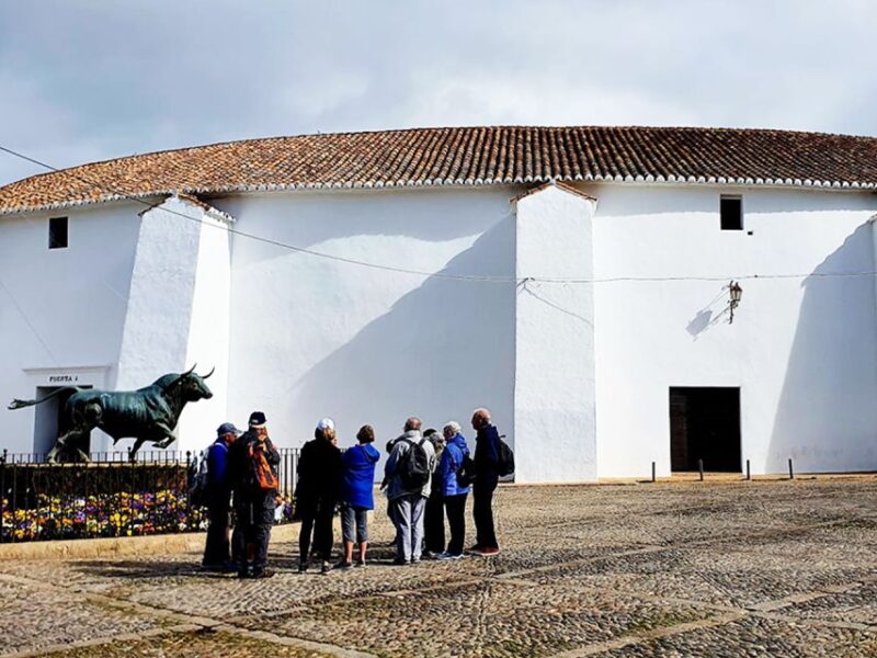 From Malaga: Ronda and Setenil De Las Bodegas Complete Tour - Inclusions and Exclusions