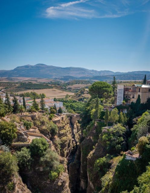 From Malaga: Ronda & Setenil De Las Bodegas Guided Day Trip - Customer Feedback Breakdown
