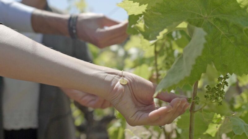 From Malaga: Ronda & Winery Experience With Wine Tasting - Itinerary Highlights
