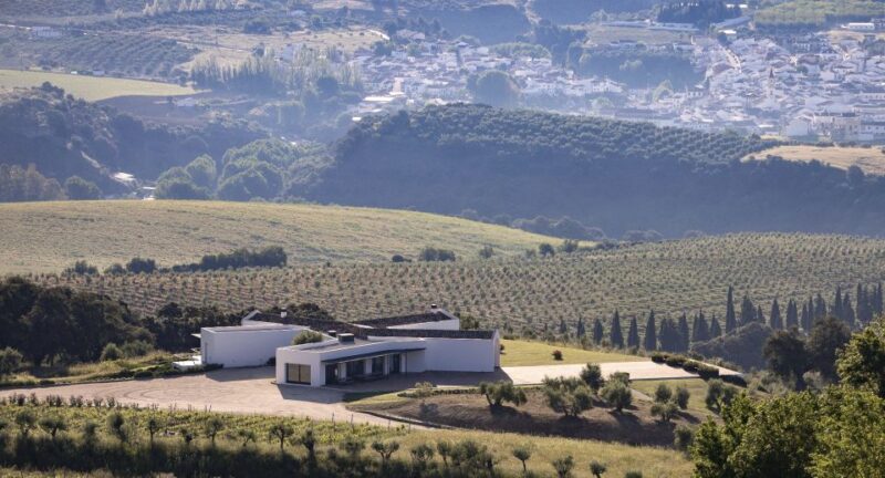 From Malaga: Ronda & Winery Experience With Wine Tasting - Prestigious Vineyard Visit