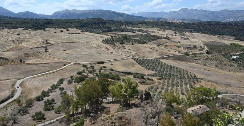 From Malaga: Ronda Y Setenil De La Bodegas Day Trip by Coach - Experience Highlights