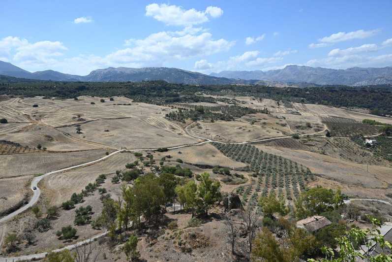 From Malaga: Ronda Y Setenil De La Bodegas Day Trip by Coach - Guided Tour Features
