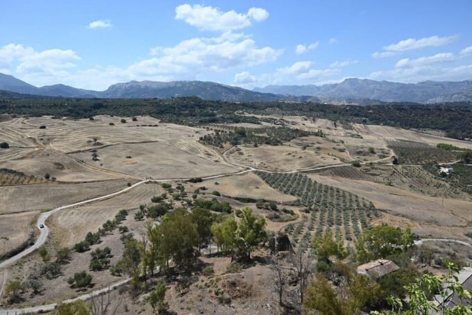From Malaga: Ronda Y Setenil De La Bodegas Day Trip by Coach - Group Size and Exclusions
