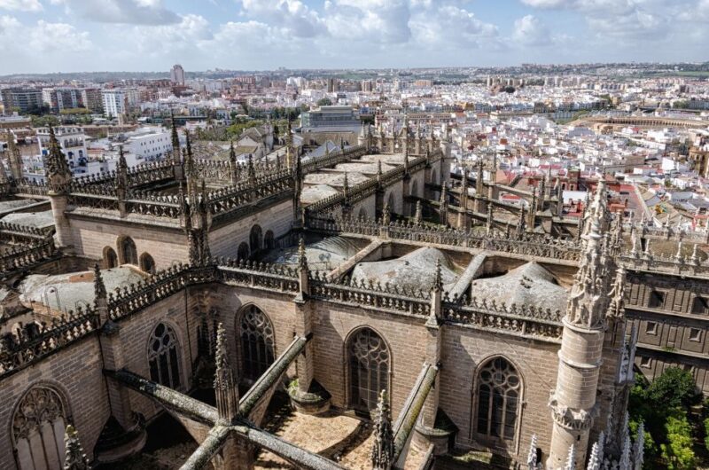 From Malaga: Seville Private Tour With Alcazar and Cathedral - Flexible Cancellation Policy