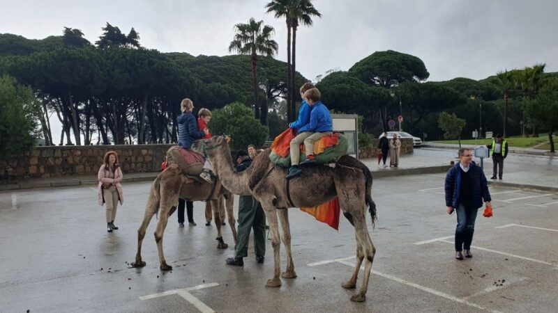 From Malaga: Tangier Day Tour With Bazaar Shopping and Lunch - Moroccan Bazaar Experience