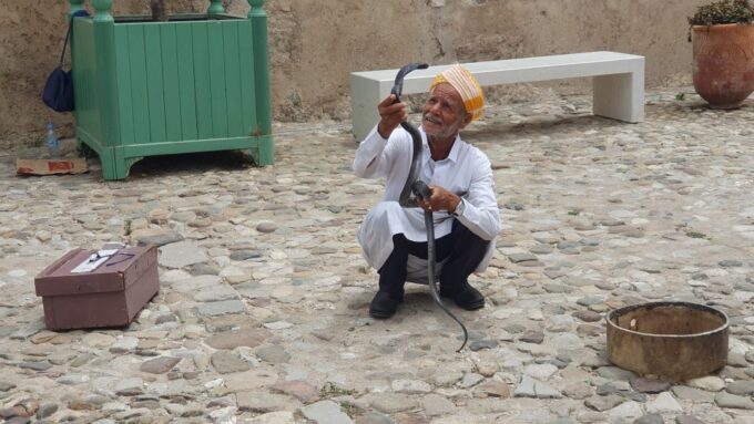 From Malaga: Tangier Day Tour With Bazaar Shopping and Lunch - Tour Suitability