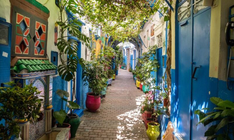 From Malaga: Tangier Private Day Trip With Ferry Tickets - Pricing Details