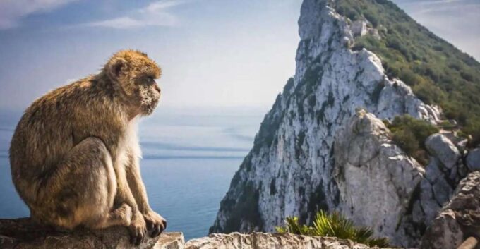 From Málaga/Torremolinos/Benalmádena: Day Trip to Gibraltar - Flexible Cancellation Policy
