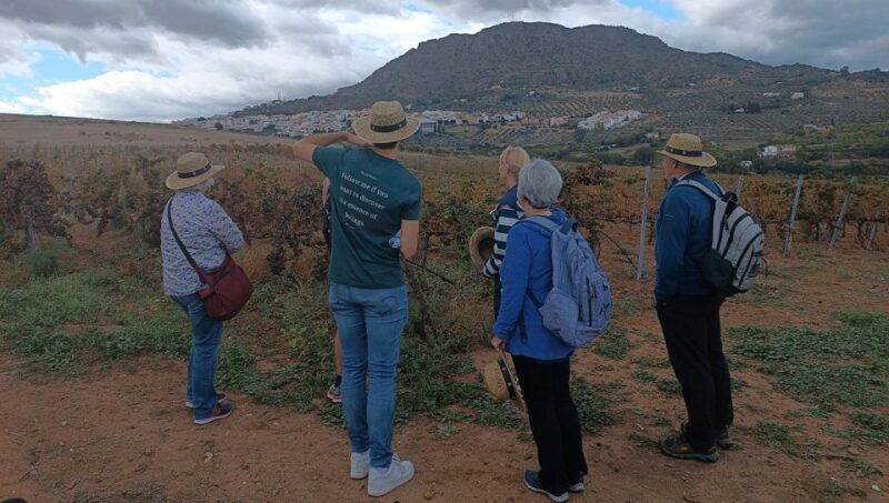 From Malaga: Wine Tasting and Vineyard Day Trip to Alora - Key Points