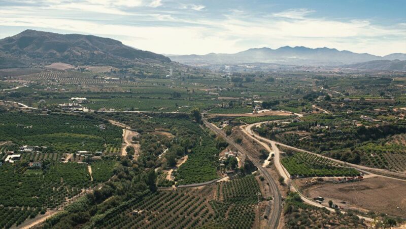 From Malaga: Wine Tasting and Vineyard Day Trip to Alora - Inclusions