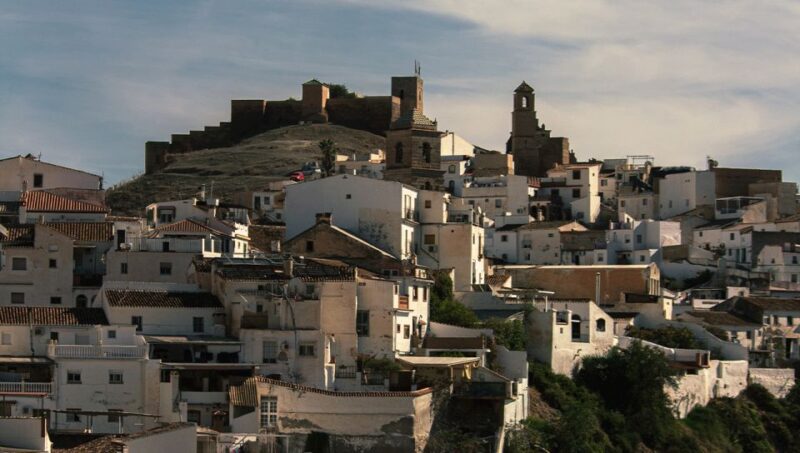 From Malaga: Wine Tasting and Vineyard Day Trip to Alora - Suitability