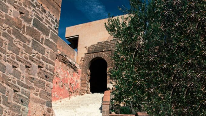 From Malaga: Wine Tasting and Vineyard Day Trip to Alora - Winery and Wine Tasting