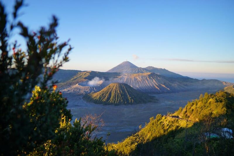 From Malang: 1-Day Mount Bromo Shared Trip - Pricing and Inclusions