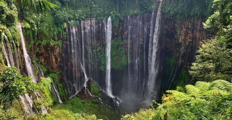 From Malang: 1 Day Tumpaksewu Group Tour Leave Daily - Payment Options