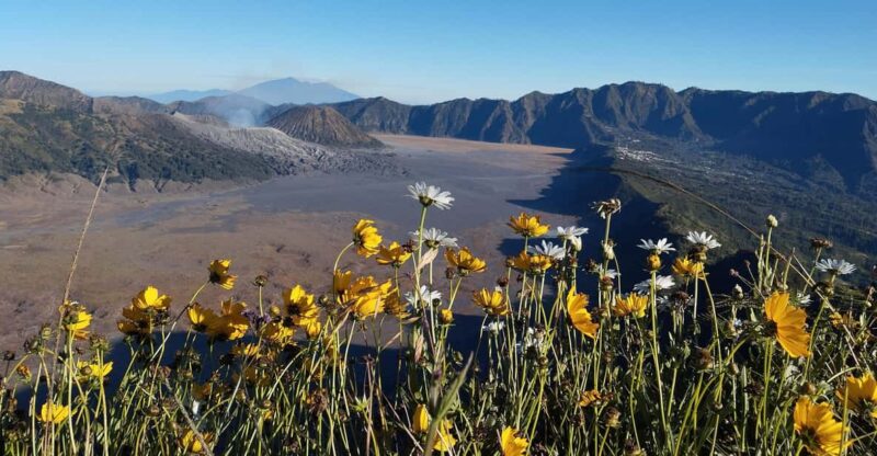 From Malang: Bromo Sunrise and Pekalen River Rafting - Highlights and Experiences