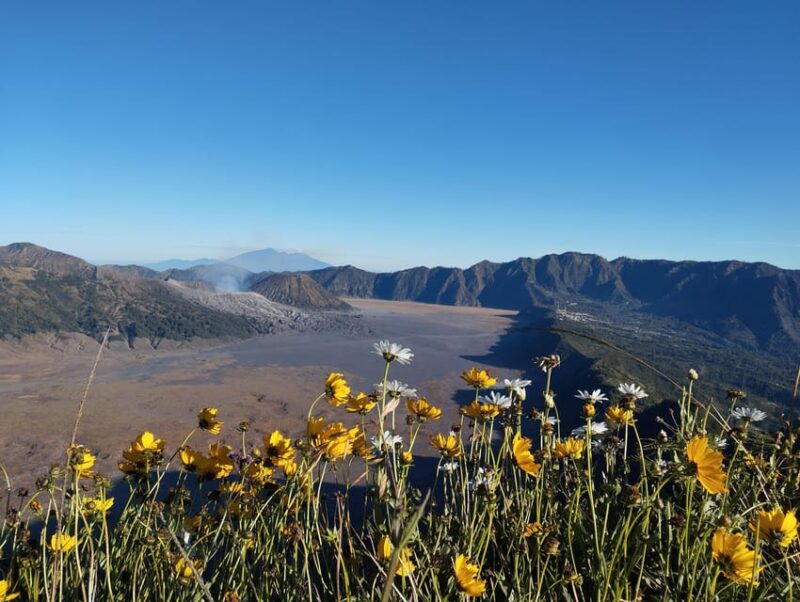 From Malang: Bromo Sunrise and Pekalen River Rafting - Mount Bromo Visit